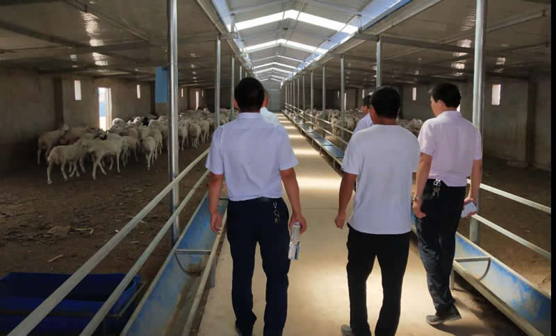 甘肅金控武威擔保公司與農業銀行古浪縣支行聯合開展項目保后檢查