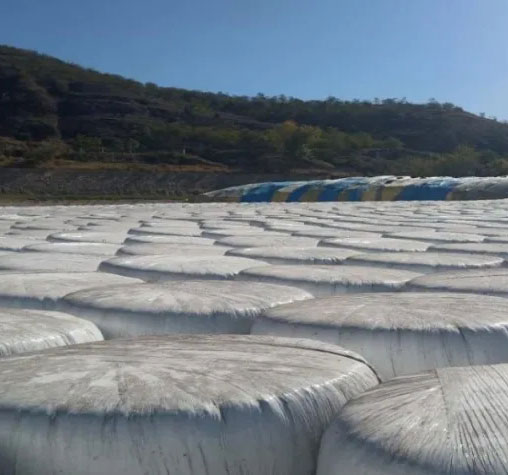 轉貸續保順理成章 各方加力一氣呵成——甘肅金控慶陽擔保公司聚焦臨期業務處理